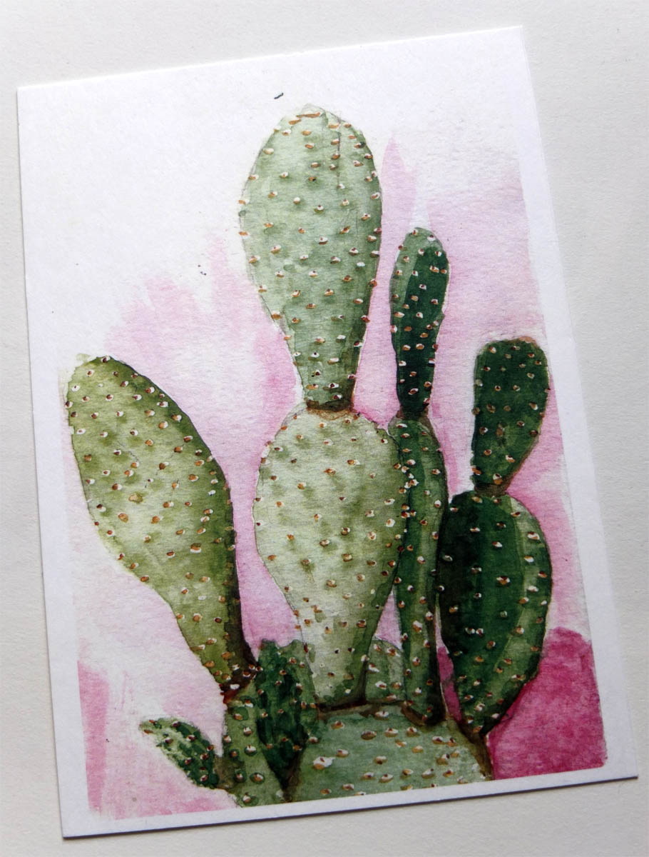postkaart cactus